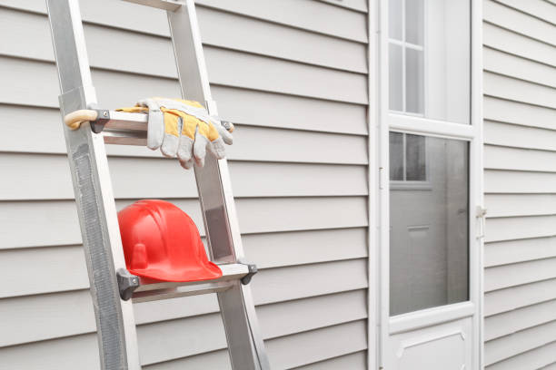 Best Shed Removal  in Hillview, KY